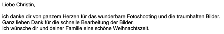 Weihnachten-Busch